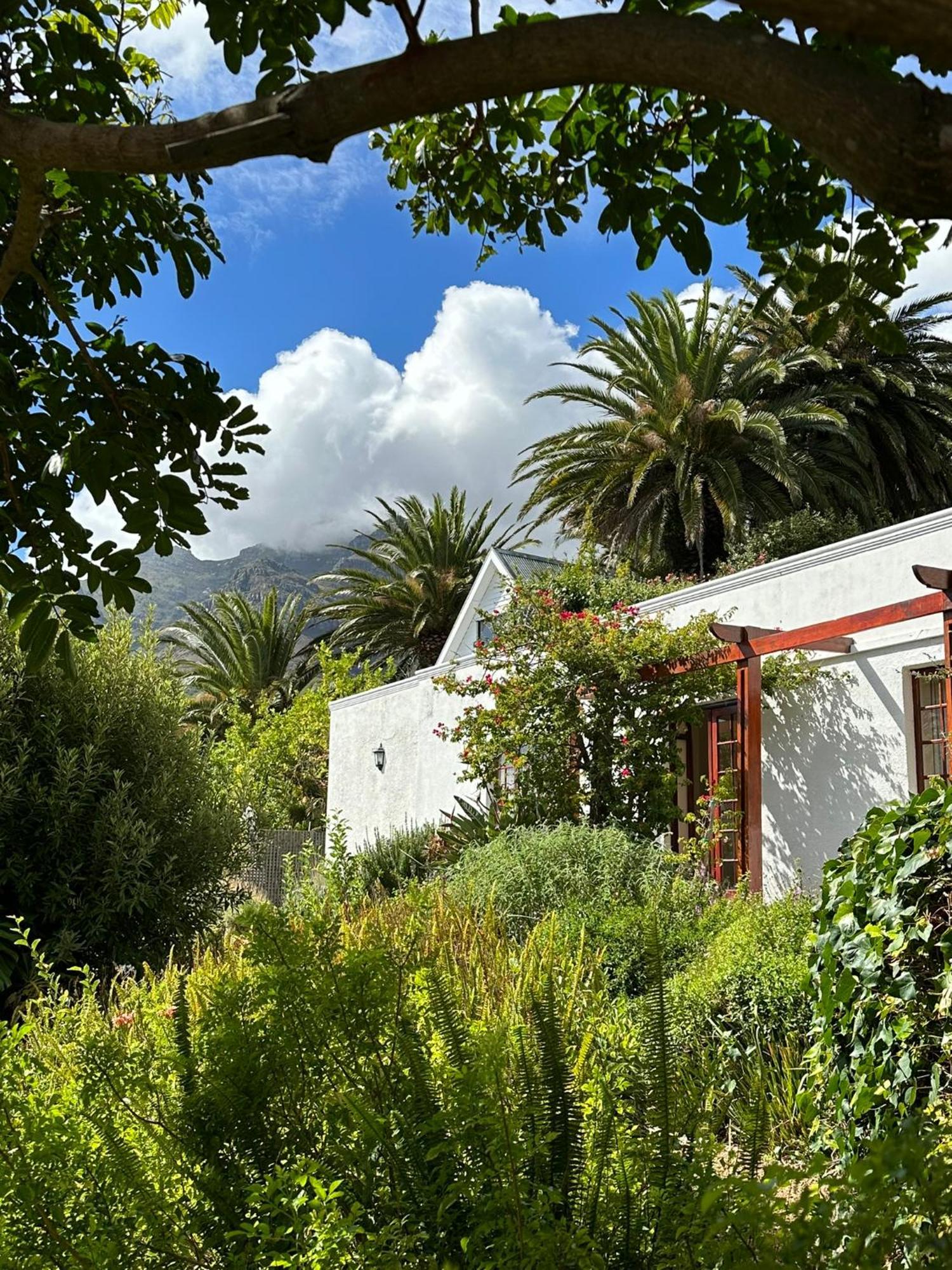 Bed and Breakfast Acorn House Kapstadt Exterior foto